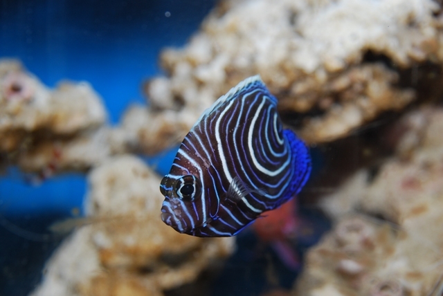DSC_3865.JPG